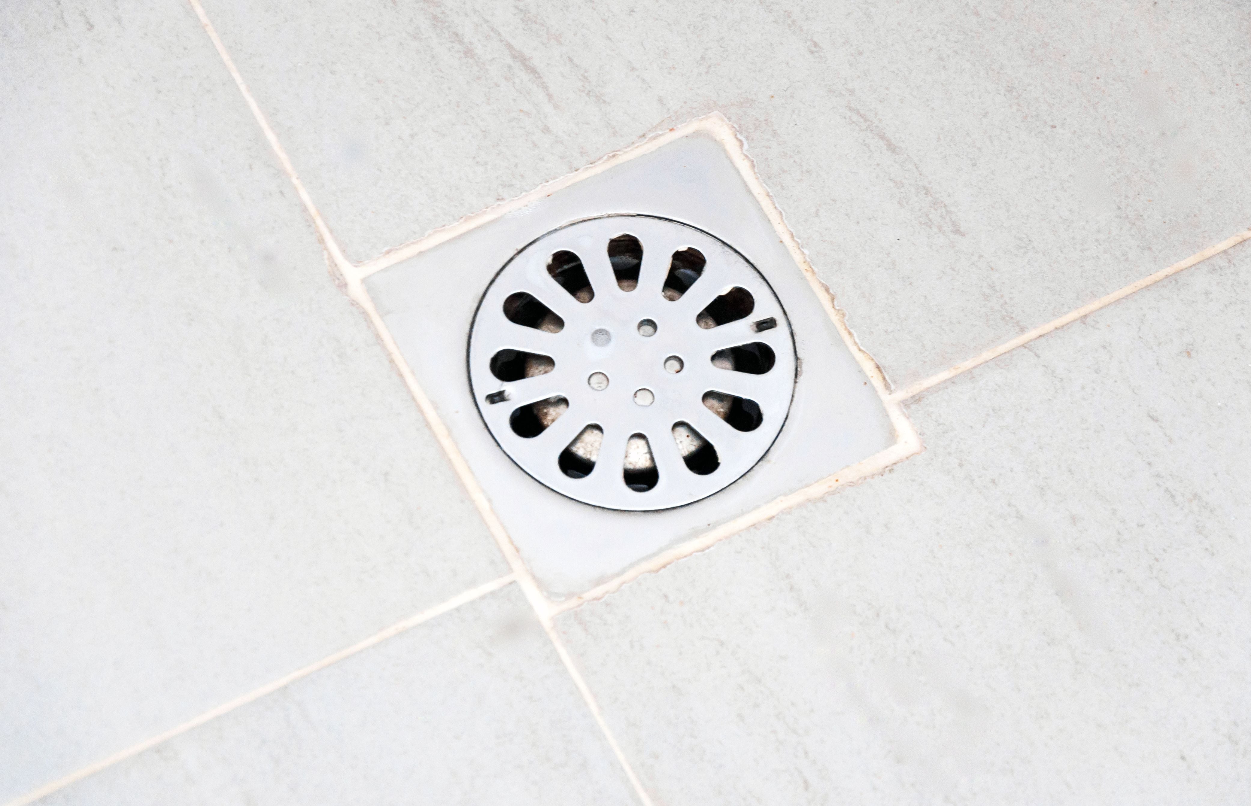 Floor Drains Need Attention: Here’s How to Give it to Them Floor Drains Need Attention: Here’s How to Give it to Them